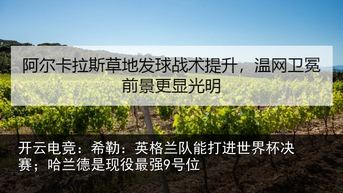 开云电竞:希勒:英格兰队能打进世界杯决赛;哈兰德是现役最强9号位